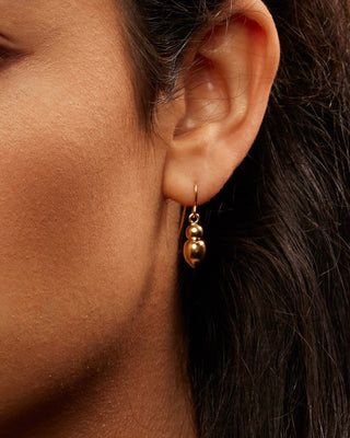 Vessel Hook or Hoop Earrings (Silver, Gold)