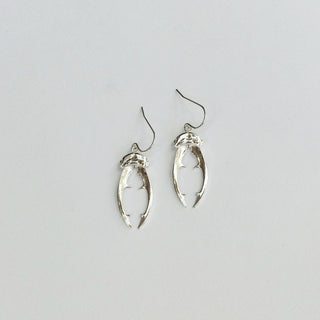 Beetle horn earrings (silver)