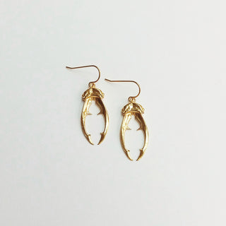 Beetle horn earrings (gold plated)